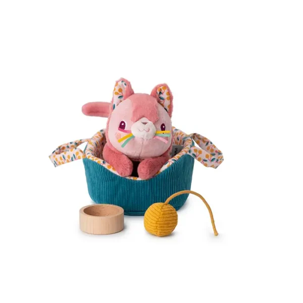 Jeanne el gato y su cesta